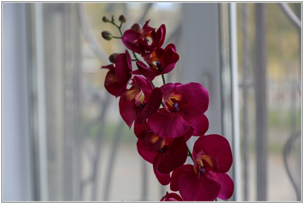 Гостиница Абажур Пермь-40