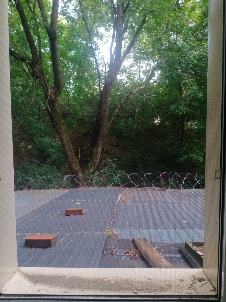 Гостиница Абажур Пермь-221