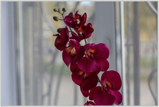 Гостиница Абажур Пермь-39