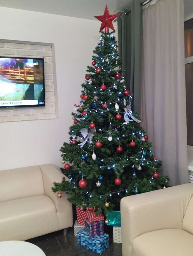 Гостиница Абажур Пермь-208